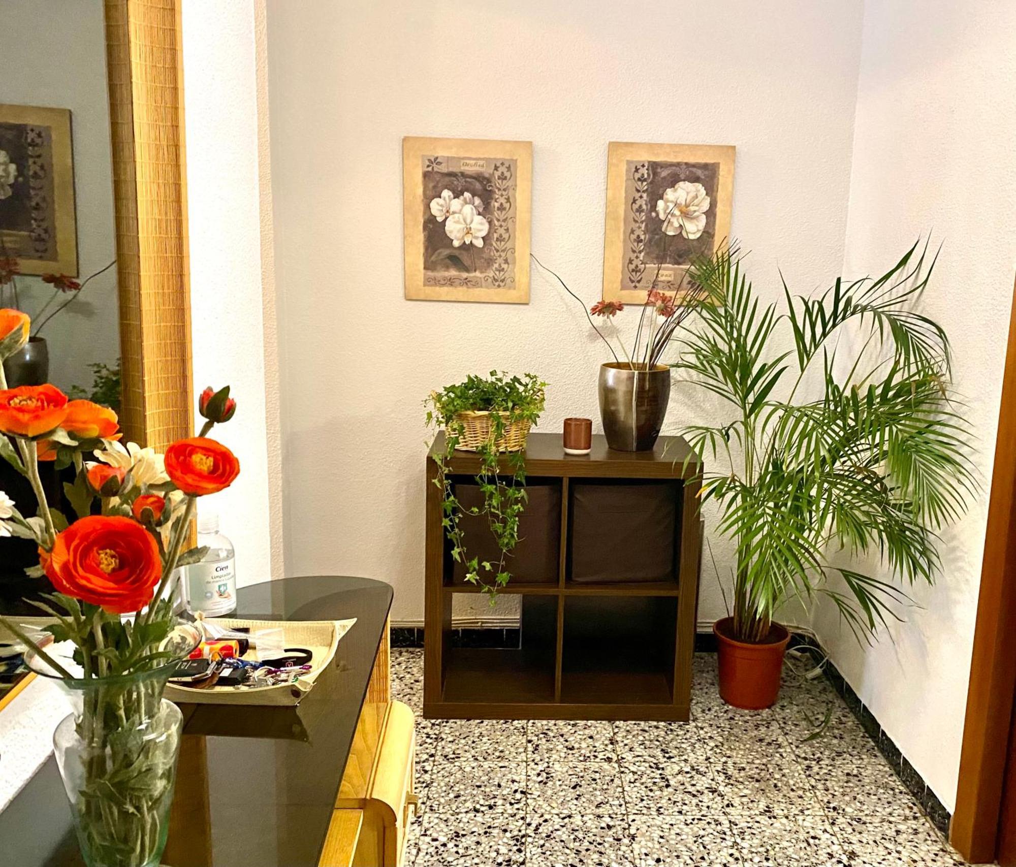 Habitacion My Home อาลิกันเต ภายนอก รูปภาพ